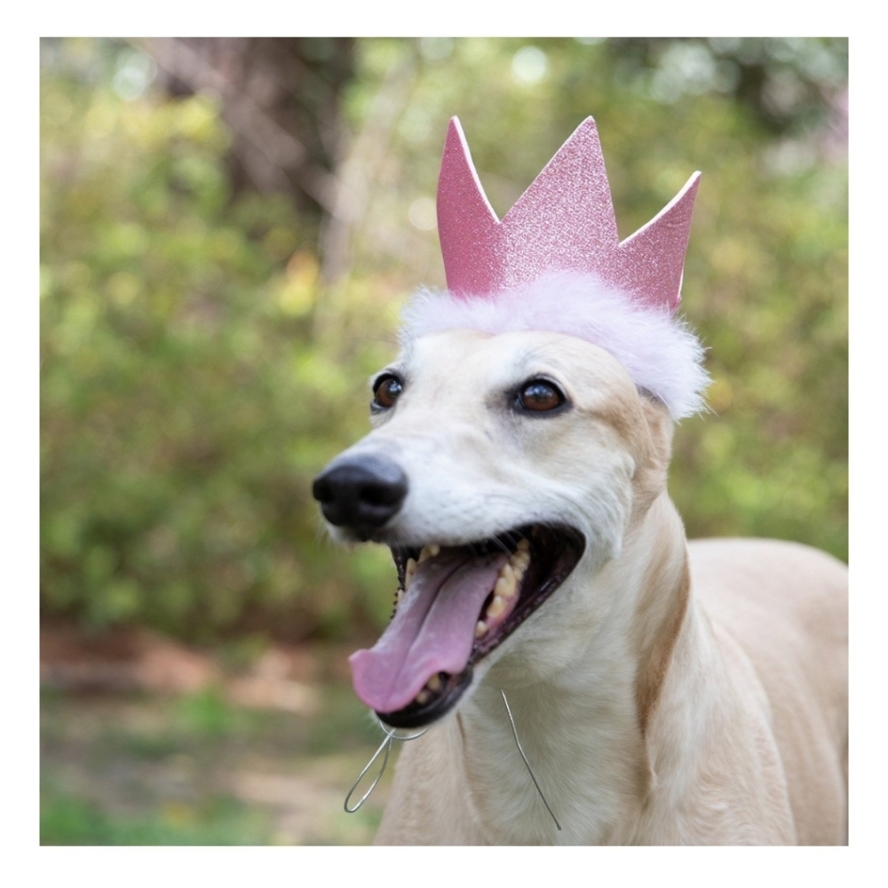 Party Crown Size S
